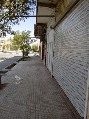 مغازه 24متری در احمدیه گلستان هفتم در گروه خرید و فروش املاک در تهران در شیپور-عکس1