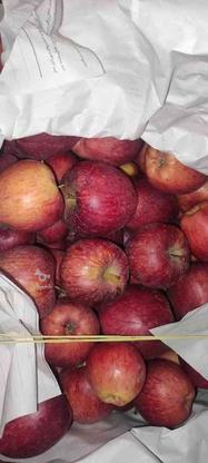 سیب سرخ مشگین شهر آبدار شیرین و استخوانی تعدادهفتادسبد در گروه خرید و فروش خدمات و کسب و کار در اردبیل در شیپور-عکس1