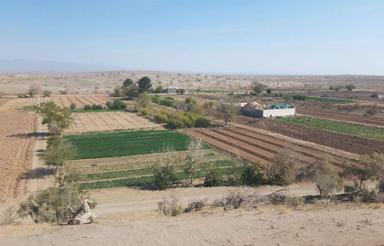زمین کشاورزی ابوزید آباد روستای قاسم آباد