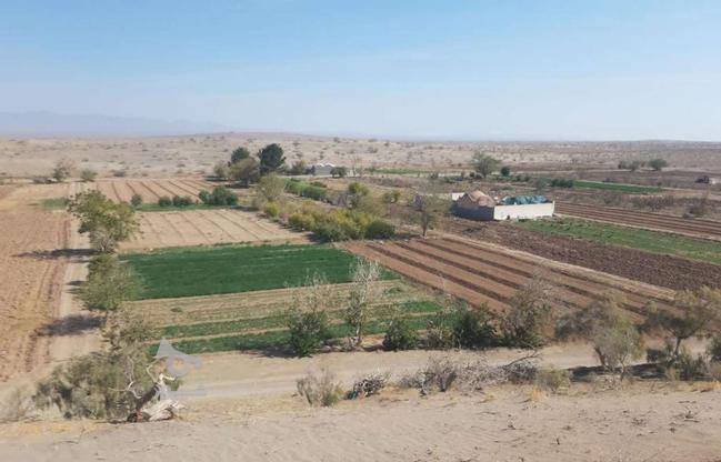 زمین کشاورزی ابوزید آباد روستای قاسم آباد در گروه خرید و فروش املاک در اصفهان در شیپور-عکس1