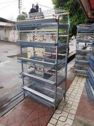 قفس مرغ تخمگذار و جوجه مرغ در گروه خرید و فروش ورزش فرهنگ فراغت در مازندران در شیپور-عکس1