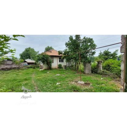 فروش زمین مسکونی 800 متر در محدوده خشکبیجار در گروه خرید و فروش املاک در گیلان در شیپور-عکس1