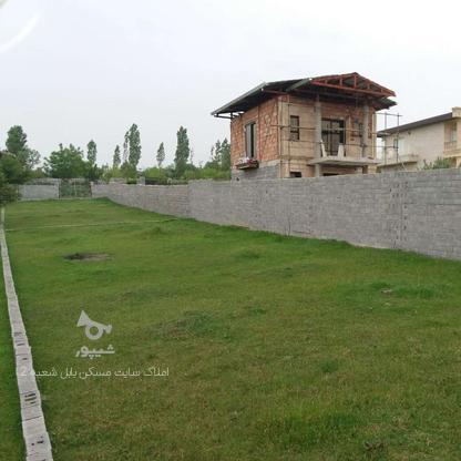 فروش زمین مسکونی 600 متر در بالامرزناک در گروه خرید و فروش املاک در مازندران در شیپور-عکس1