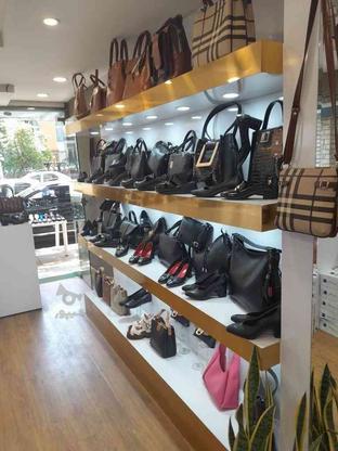 کیف و کفش و ویترین و لوستر در گروه خرید و فروش خدمات و کسب و کار در مازندران در شیپور-عکس1