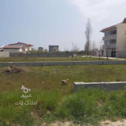 فروش زمین مسکونی 202 متر در شعیب کلایه در گروه خرید و فروش املاک در مازندران در شیپور-عکس1