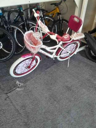 دوچرخه صفر هست سایز پچه موجود هست در گروه خرید و فروش ورزش فرهنگ فراغت در گیلان در شیپور-عکس1