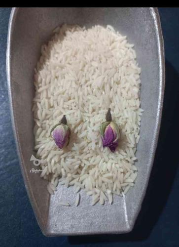 برنج ایرانی مروارید درجه یک