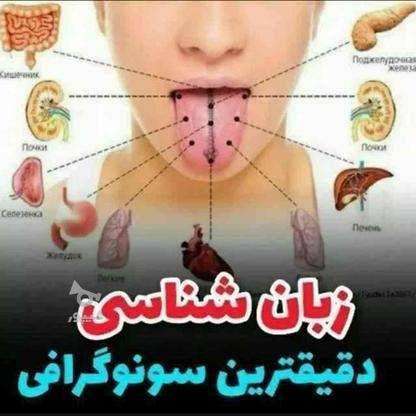 سونوگرافی رایگان کامل بدن با زبان در گروه خرید و فروش خدمات و کسب و کار در تهران در شیپور-عکس1