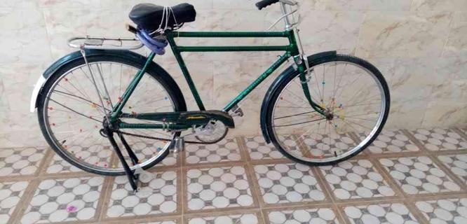 دوچرخه چینی در گروه خرید و فروش ورزش فرهنگ فراغت در خراسان رضوی در شیپور-عکس1