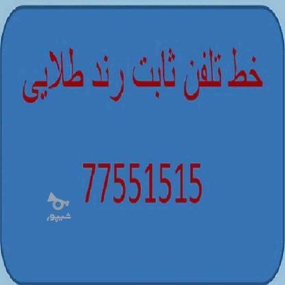 خط تلفن ثابت رند طلایی77551515 در گروه خرید و فروش موبایل، تبلت و لوازم در تهران در شیپور-عکس1