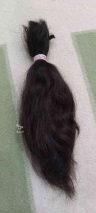 موی طبیعی مشکی در گروه خرید و فروش لوازم شخصی در فارس در شیپور-عکس1
