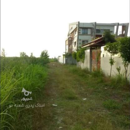 فروش زمین مسکونی 270 متر در سنگ کتی در گروه خرید و فروش املاک در مازندران در شیپور-عکس1