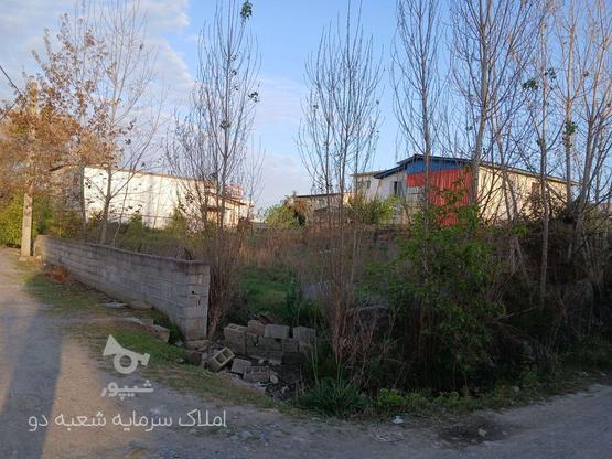فروش زمین مسکونی 220 دو نبش متر در بیشه کلا در گروه خرید و فروش املاک در مازندران در شیپور-عکس1
