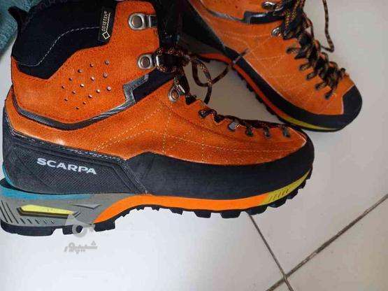 کفش کوهنوردی اسکارپا ایتالیا سایز 40 در گروه خرید و فروش ورزش فرهنگ فراغت در تهران در شیپور-عکس1