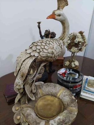 مجسمه طاووس در گروه خرید و فروش لوازم خانگی در خراسان رضوی در شیپور-عکس1