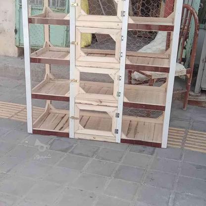 قفس چوبی محکم در گروه خرید و فروش ورزش فرهنگ فراغت در همدان در شیپور-عکس1