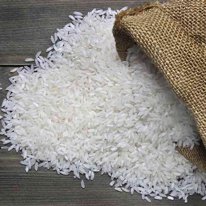 فروش برنج عنبربو تبدیل اهواز بصورت عمده. در گروه خرید و فروش خدمات و کسب و کار در گیلان در شیپور-عکس1