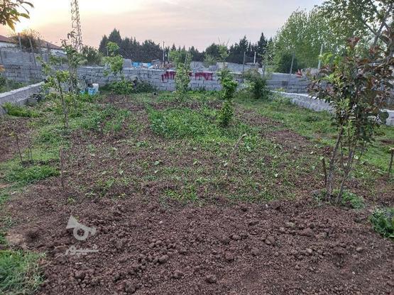 205 متر زمین باغی در گروه خرید و فروش املاک در مازندران در شیپور-عکس1
