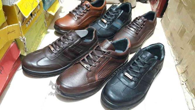 کفش تمام چرم گاوی.40تا45 تک سایز تک رنگ در گروه خرید و فروش لوازم شخصی در آذربایجان شرقی در شیپور-عکس1