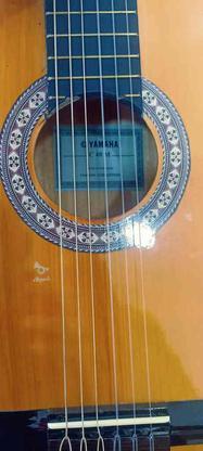 گیتار نسخه کپی یاماها c40 در گروه خرید و فروش ورزش فرهنگ فراغت در گلستان در شیپور-عکس1
