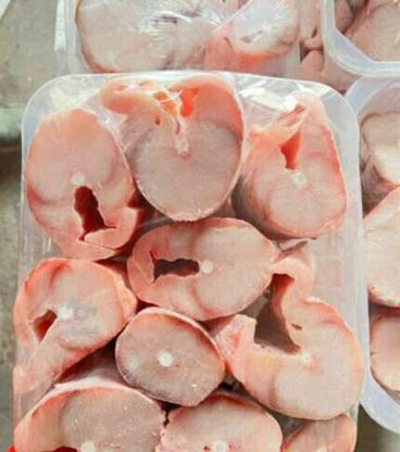 مقداری ماهی شیر شوریده حلوا میش مازاد جنوب در گروه خرید و فروش خدمات و کسب و کار در تهران در شیپور-عکس1