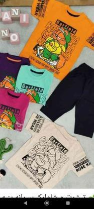 انواع تیشرت و شلوارک انواع شومیز انواع پیراهن در گروه خرید و فروش لوازم شخصی در سمنان در شیپور-عکس1