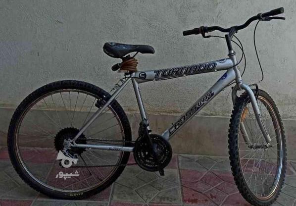 فروش فوری دوچرخه در گروه خرید و فروش ورزش فرهنگ فراغت در البرز در شیپور-عکس1
