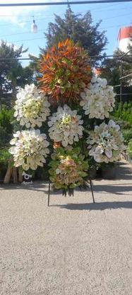 گل اسپرینگ تاج گل ترحیم و شادی سبد گل در گروه خرید و فروش خدمات و کسب و کار در تهران در شیپور-عکس1