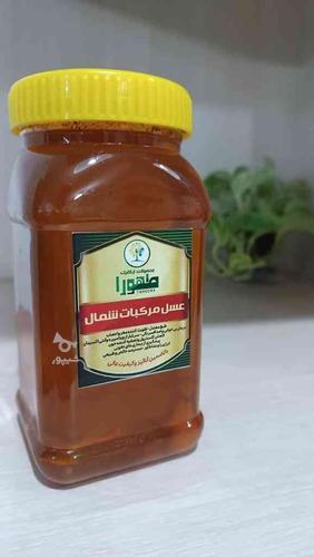 پخش و فروش عمده روغن زیتون بکر،آفتابگردان،انواع شیره و عسل