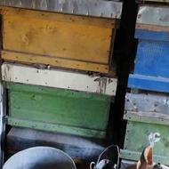 فروش کندو زنبور عسل دسته دوم