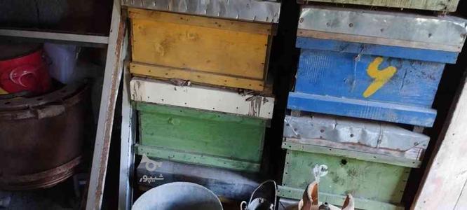 فروش کندو زنبور عسل دسته دوم در گروه خرید و فروش ورزش فرهنگ فراغت در مازندران در شیپور-عکس1