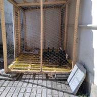 اردک اسراییلی همراه با قفس