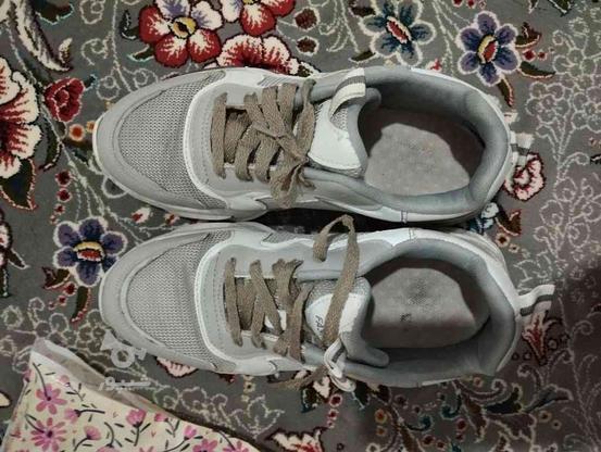 کفش طبی سایز40 در گروه خرید و فروش لوازم شخصی در تهران در شیپور-عکس1