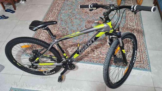 دوچرخه جاینت Giant در گروه خرید و فروش ورزش فرهنگ فراغت در کرمانشاه در شیپور-عکس1