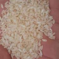 برنج و خورده برنج کامفیروزی