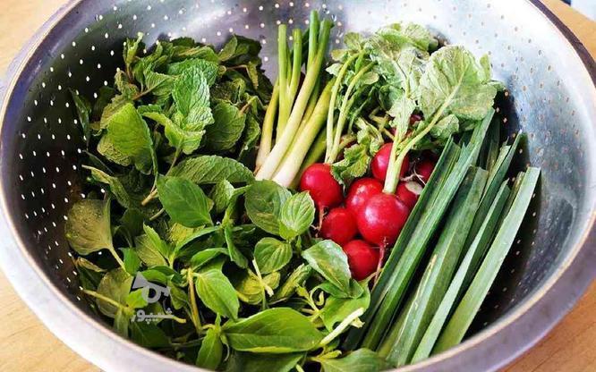 سبزیجات آماده طبخ بانو در گروه خرید و فروش خدمات و کسب و کار در البرز در شیپور-عکس1