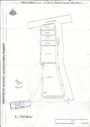 500متر زمین فروش یا معاوزه در گروه خرید و فروش املاک در مازندران در شیپور-عکس1