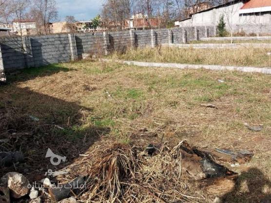 معاوضه فروش زمین 151 متر سنگ تجن (فرمانداری) در گروه خرید و فروش املاک در مازندران در شیپور-عکس1