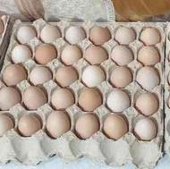 تخم مرغ محلی گلپایگانی درجه یک