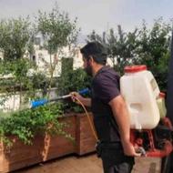 باغبانی هرسکاری سمپاشی بازدید تهران و حومه