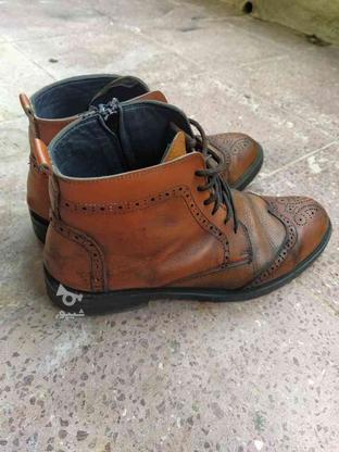 کفش مردانه در گروه خرید و فروش لوازم شخصی در کردستان در شیپور-عکس1