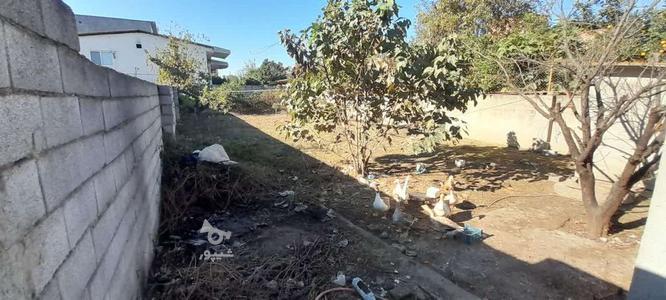فروش زمین اول دویش خاک بابل در گروه خرید و فروش املاک در مازندران در شیپور-عکس1