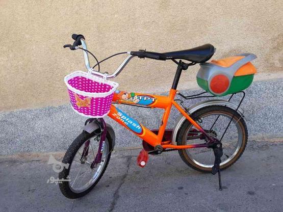 دوچرخه نمره 16 سالم در گروه خرید و فروش ورزش فرهنگ فراغت در آذربایجان شرقی در شیپور-عکس1