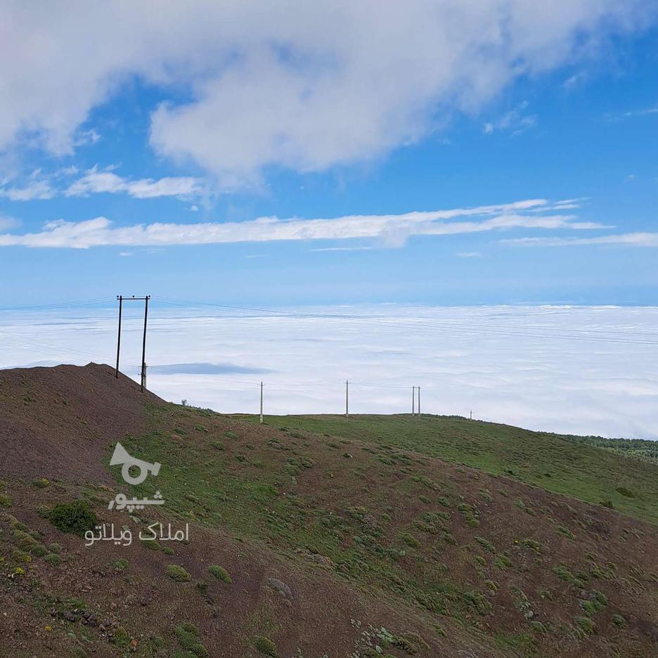 فروش زمین مسکونی 227 متر در روستای اسپرز الاشت در گروه خرید و فروش املاک در مازندران در شیپور-عکس1