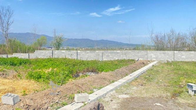 فروش 4قطعه زمین مسکونی 250 متر در شاندرمن در گروه خرید و فروش املاک در گیلان در شیپور-عکس1
