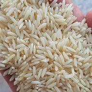 برنج هندیgtc