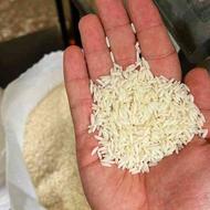 فروش برنج بدون واسطه مقدار محدود