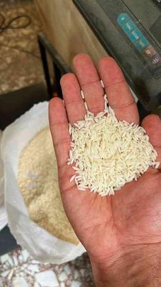 فروش برنج بدون واسطه مقدار محدود در گروه خرید و فروش خدمات و کسب و کار در تهران در شیپور-عکس1