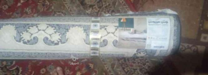 فرش 6متری مرینوس کاشان 700شانه با تراکم 2550 در گروه خرید و فروش لوازم خانگی در فارس در شیپور-عکس1
