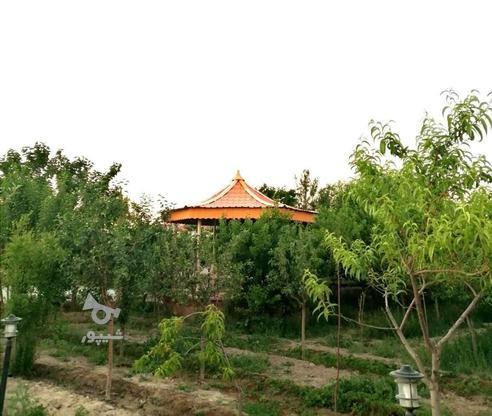 باغ ویلا سند تک برگ، امتیازات کامل در گروه خرید و فروش املاک در خراسان رضوی در شیپور-عکس1